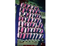 Coro Kozukata