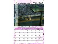 Novembre