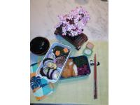 Picnic con un nuovo tipo di sakura  Nicoletta Franzoni