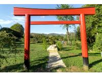 Il TORII del giardino giapponese