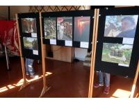 Mostra fotografica [I mille volti del Giappone]