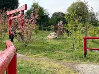 HANAMI al giardino giapponese di Ome