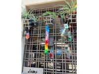 Tanabata 2023