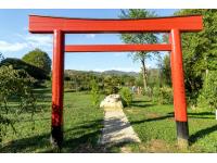 Il TORII del giardino giapponese